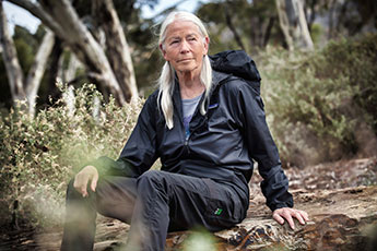 Professor Janis Birkeland